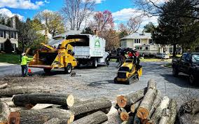 Best Hazardous Tree Removal  in Fayette, MO